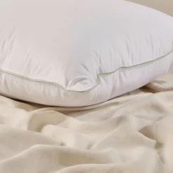 30/70 Duck Down Feather Queen Pillow