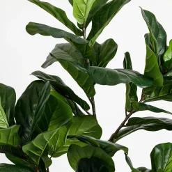 Artificial Fiddle Leaf Fig