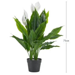 Artificial Mini Peace Lily Plant