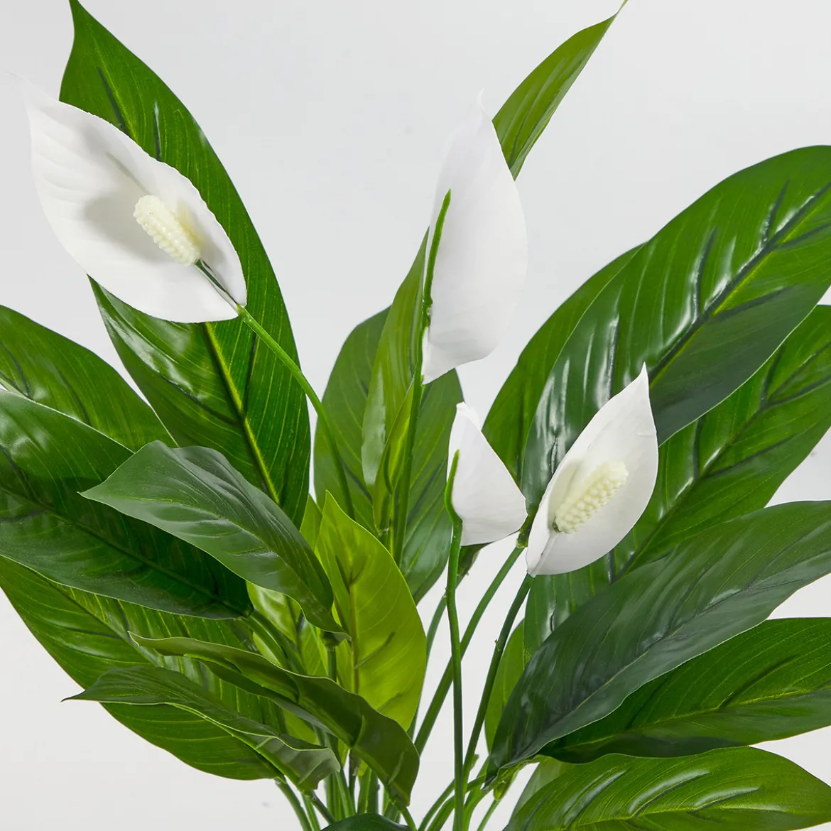 Artificial Mini Peace Lily Plant
