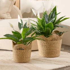 Artificial Mini Peace Lily Plant