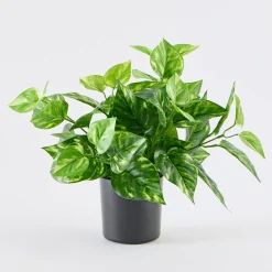 Artificial Mini Pothos Light Green Plant
