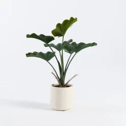 Artificial Potted Fan Palm