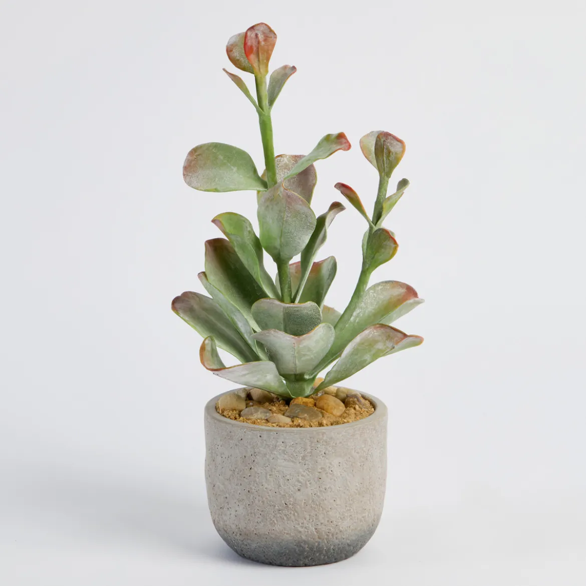 Ashby Artificial Potted Succulent
