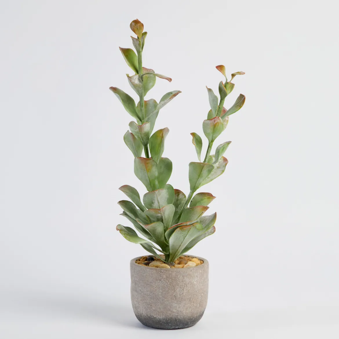 Ashby Artificial Potted Succulent