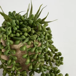 Bartel Jelly Bean Artificial Potted Succulent