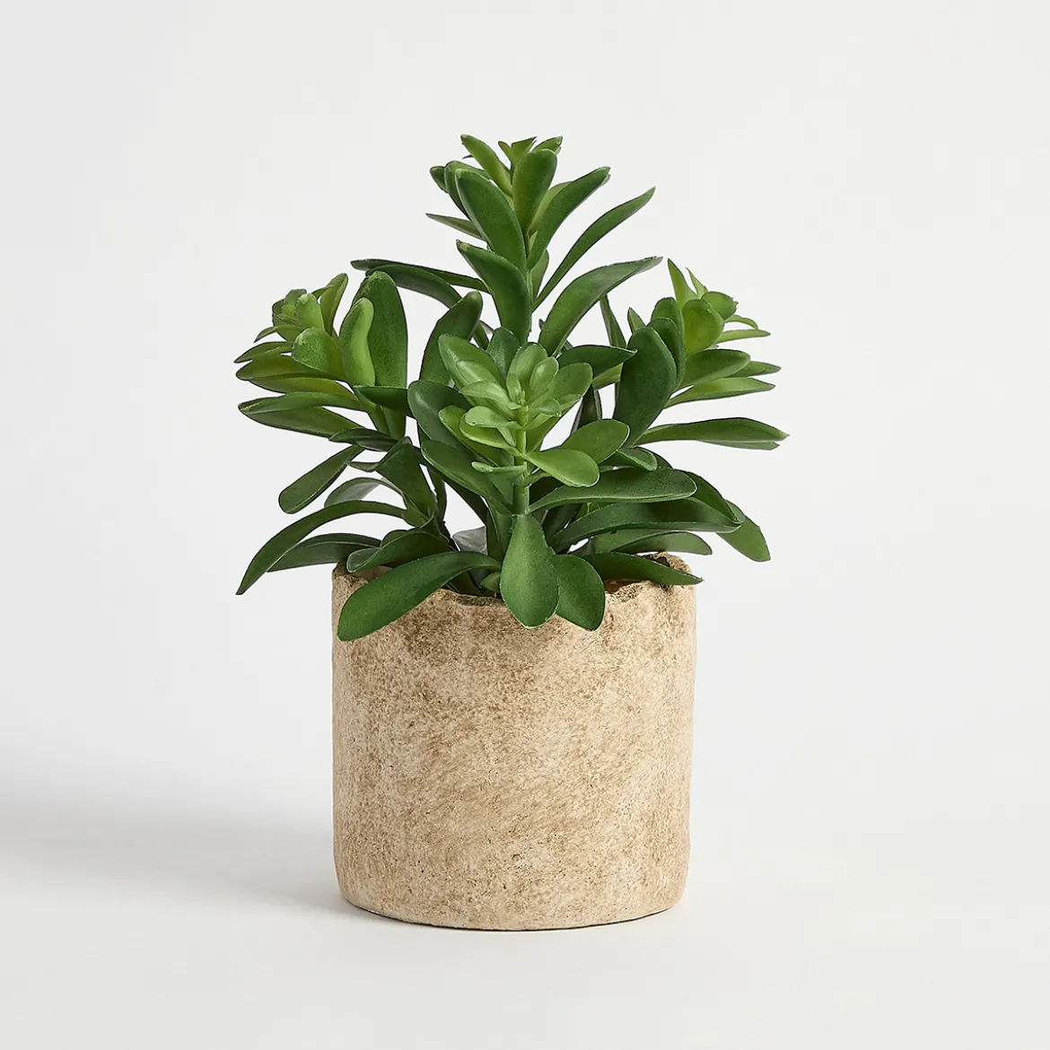 Bartel Potted Artificial Jade Succulent