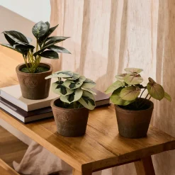 Botanic Artificial Pepperomia Potted Plant