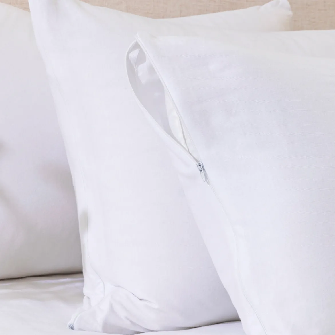 Cotton Jersey Standard Pillow Protector