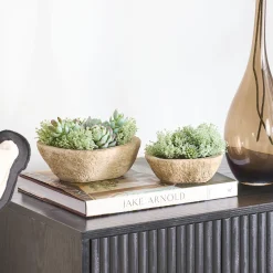 Greyson Potted Artificial Succulent