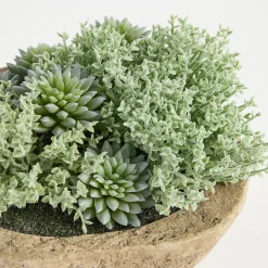 Greyson Potted Artificial Succulent