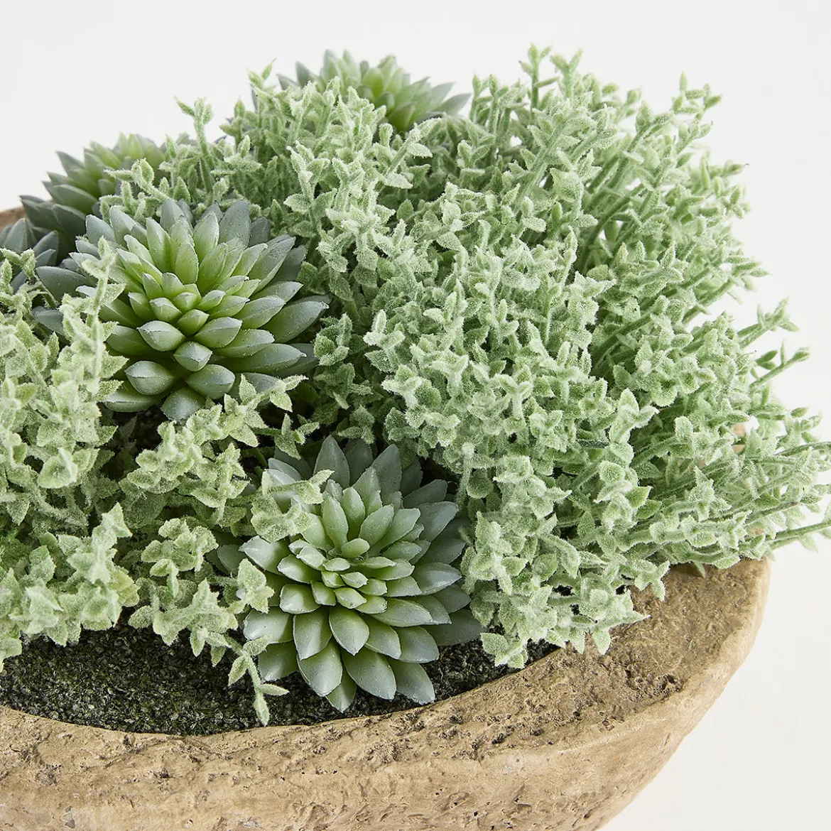 Greyson Potted Artificial Succulent