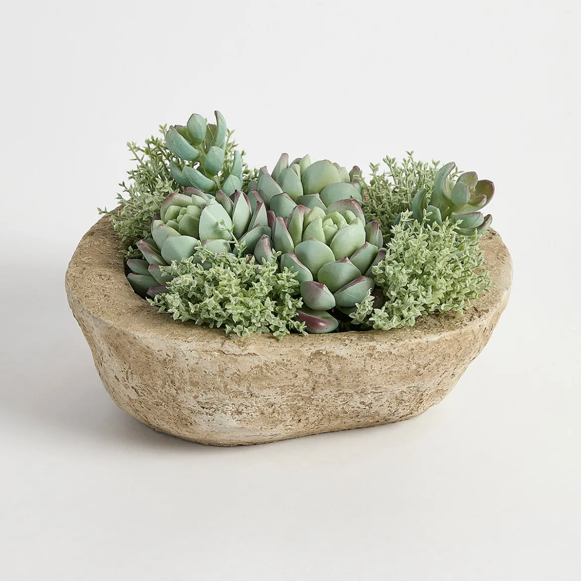 Greyson Potted Artificial Succulent