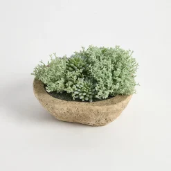 Greyson Potted Artificial Succulent