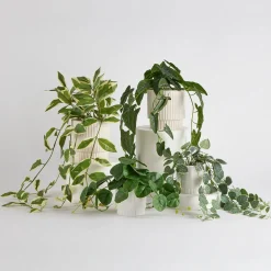 Hali Pothos Artificial Potted Plant