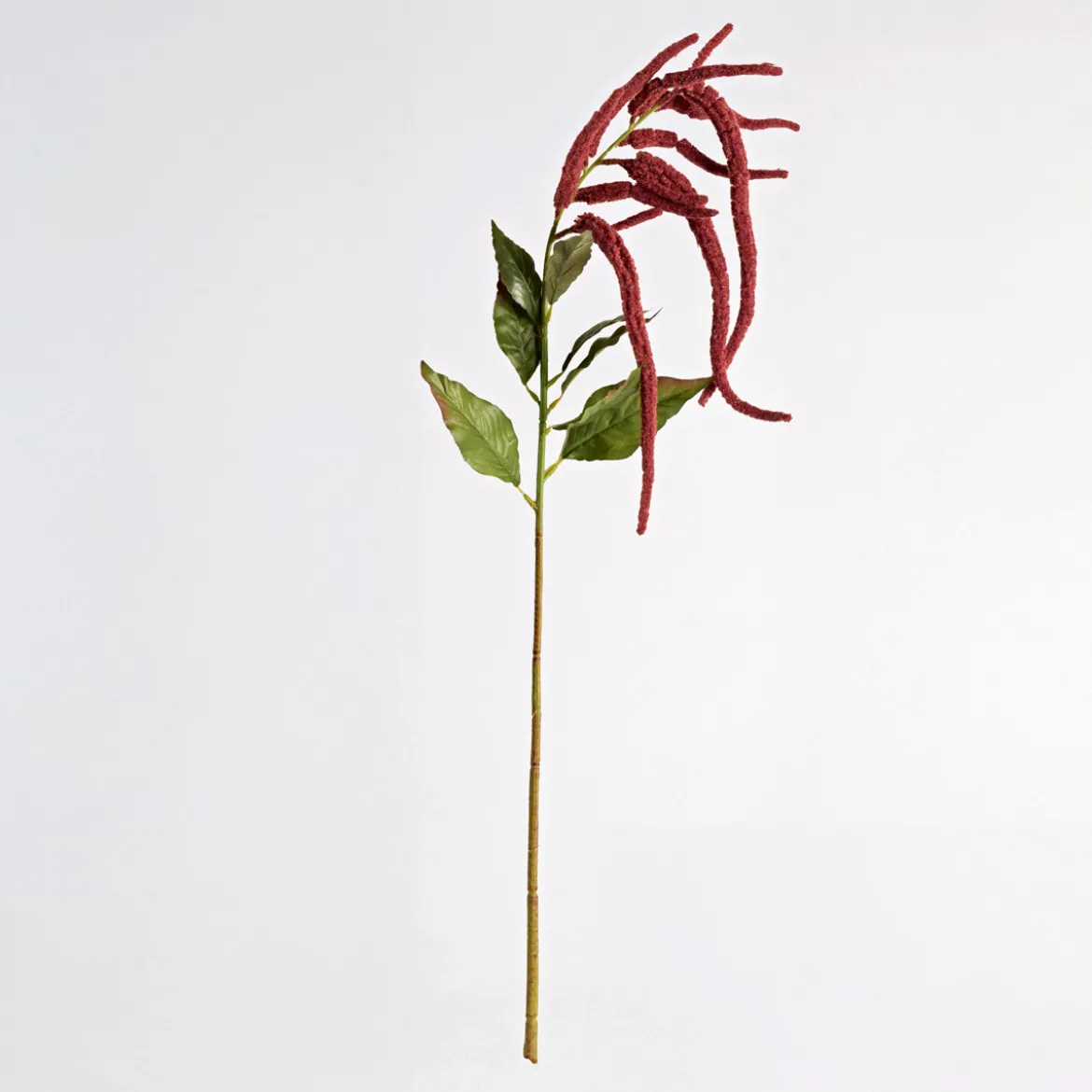 Hanging Millet Stem