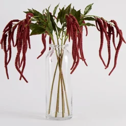 Hanging Millet Stem