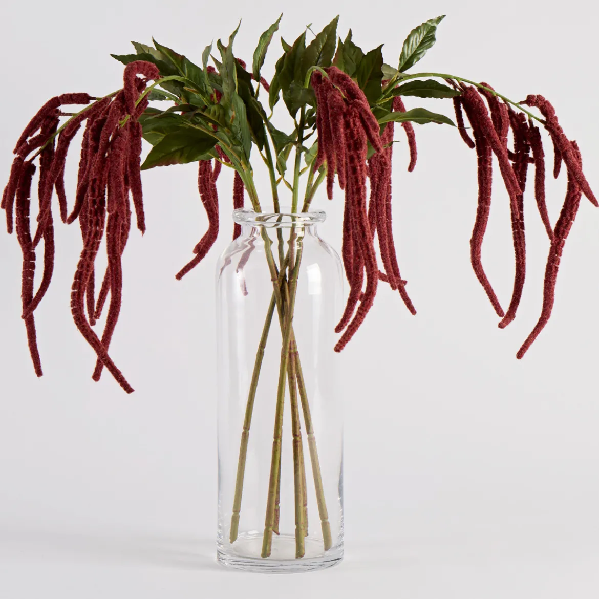 Hanging Millet Stem