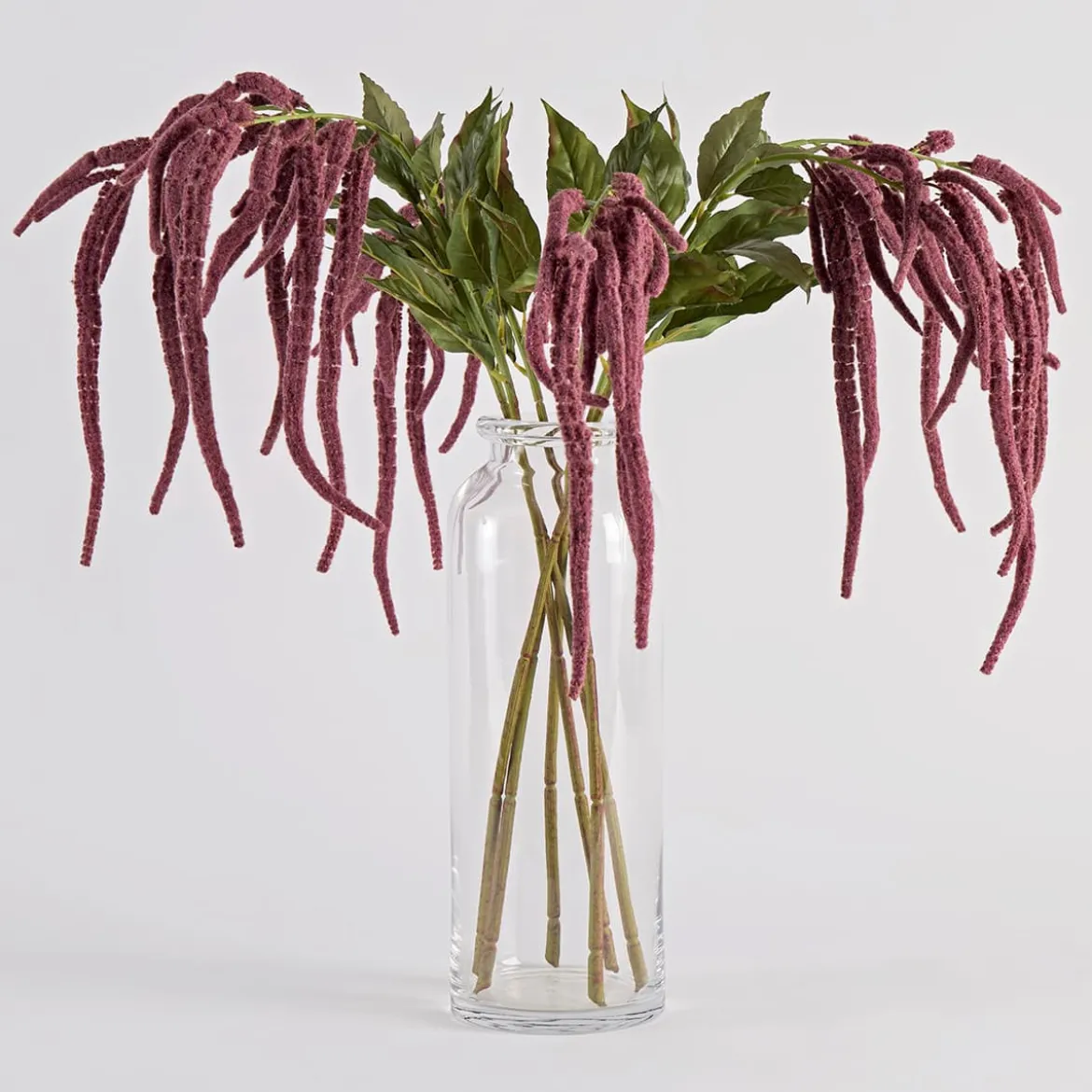 Hanging Millet Stem