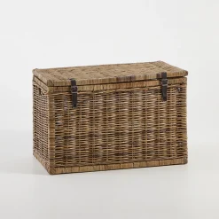 Hendrick Rectangle Trunk