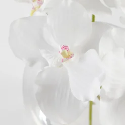 Lola Artificial Vanda Orchid Bouquet in Vase