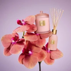 Radiance In Bloom 250ml Diffuser